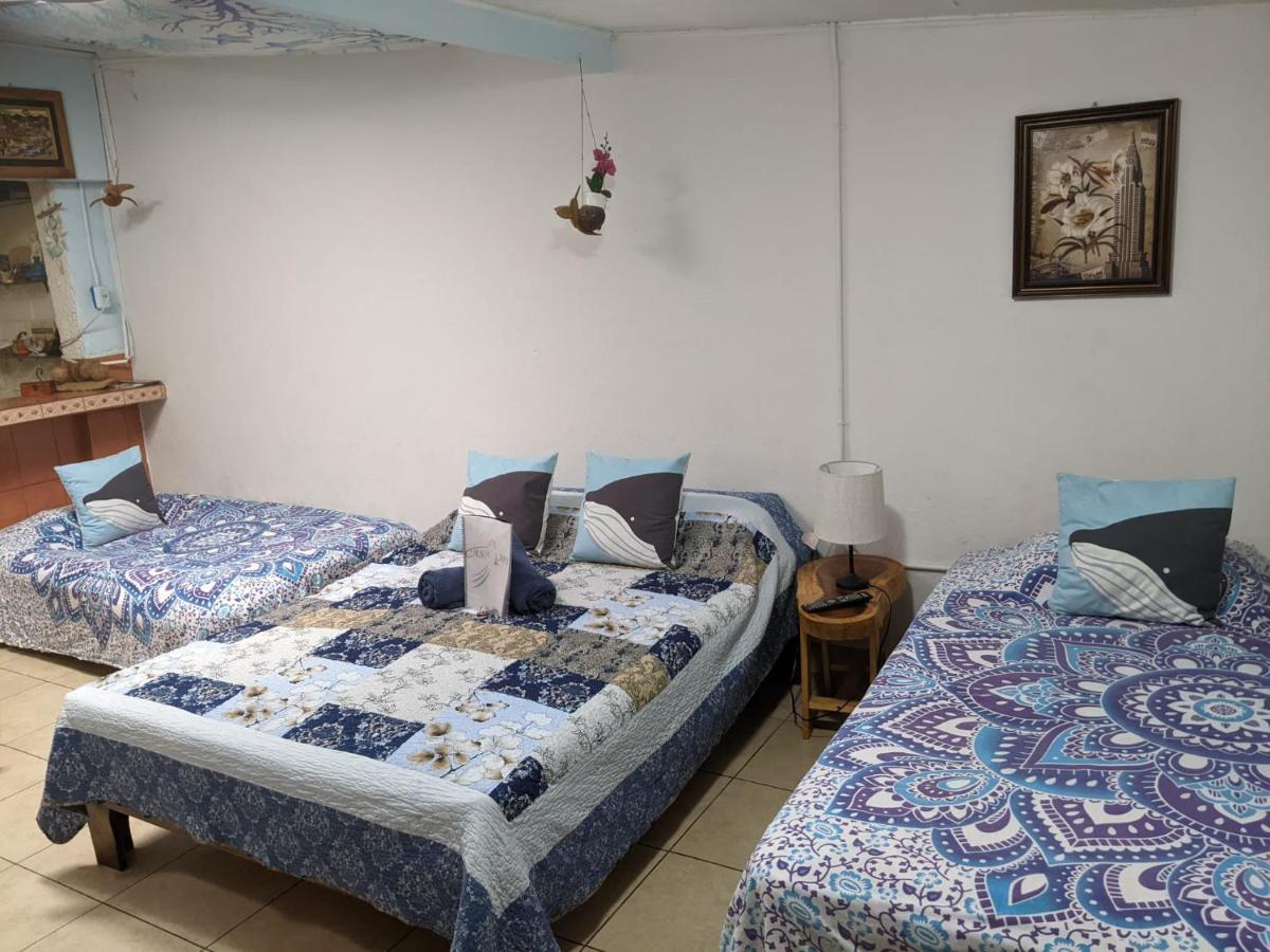 אלאג'ואלה Guesthouse Casa Lapa2 מראה חיצוני תמונה